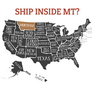 ship within mt